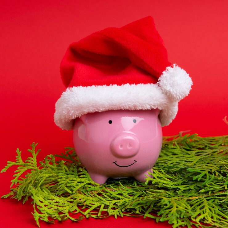 alcancía en forma de chanchito con sombrero de navidad