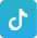 Ícono para ir a la página donde puede ver nuestro Tiktok